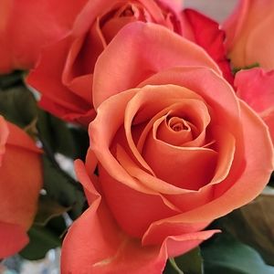 Meet your Posher, Christine